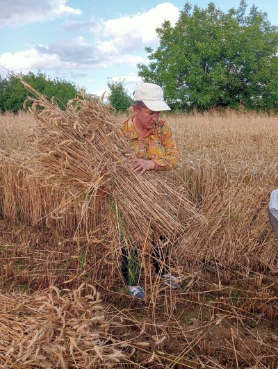 Zażynki w Rozięcinie 2025